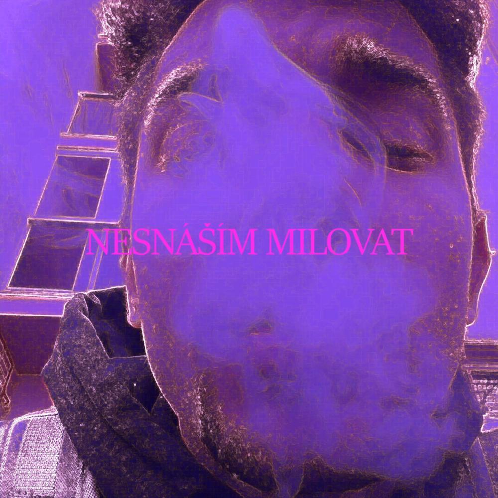 Nesnáším Milovat (Explicit)