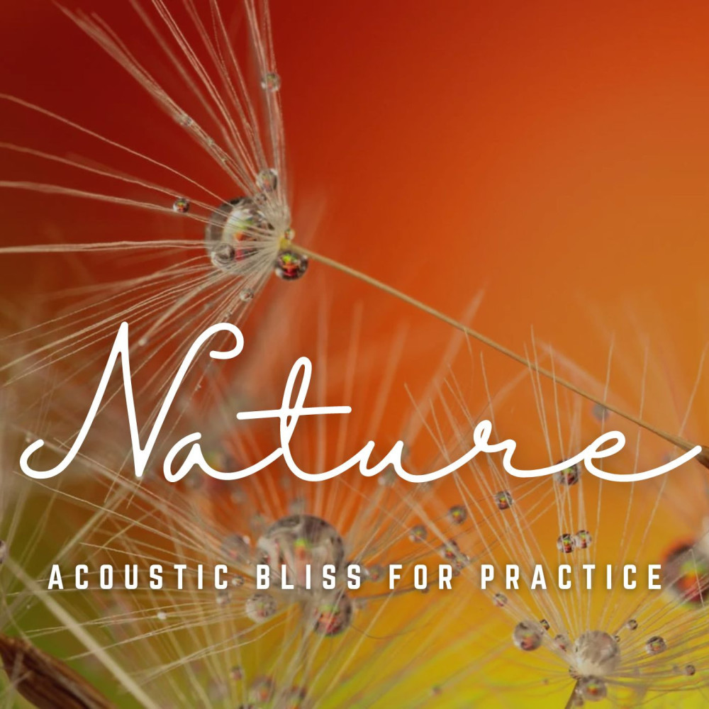 Serenade in Acoustic Yoga Flow