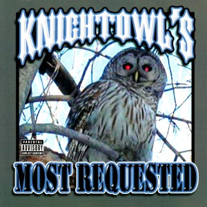 ดาวน์โหลดและฟังเพลง You Did Me Wrong พร้อมเนื้อเพลงจาก Mr. Knightowl