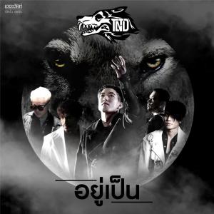 Dengarkan อยู่เป็น lagu dari TONO & The DUST dengan lirik