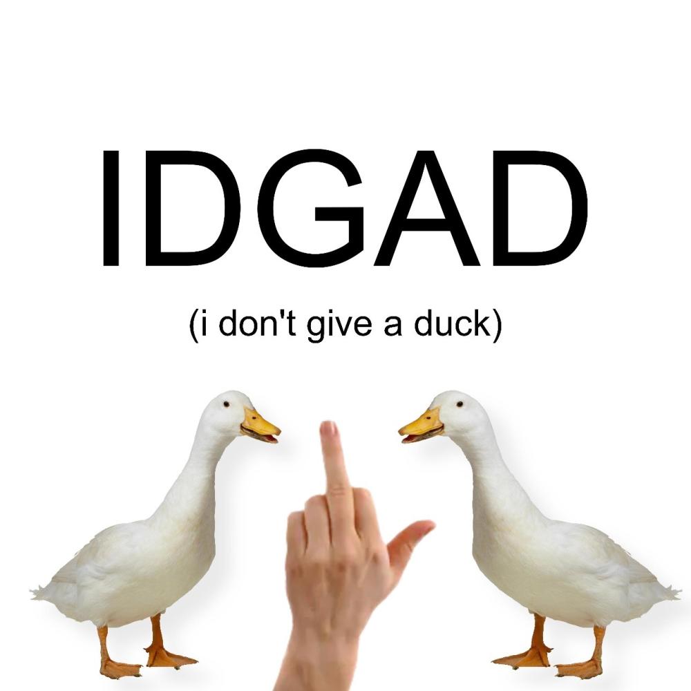 I Don't Give a Duck (feat. ECKS) (Explicit)