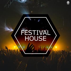 Festival House dari Various Artists