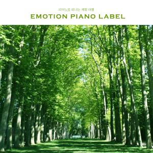 Album Seasonal trip to the piano from Various Artists