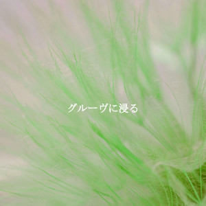 Listen to Background for Mellow Night Time song with lyrics from Elevator Music Group