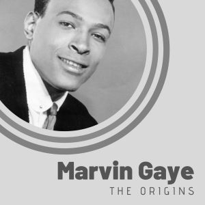 Listen to Taking My Time song with lyrics from Marvin Gaye