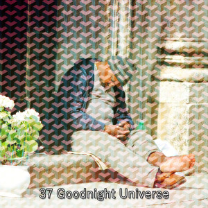 收聽Sleeping Music的Nights Grace歌詞歌曲