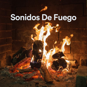 Listen to Sonidos De Chimenea song with lyrics from Sonidos De Fuego