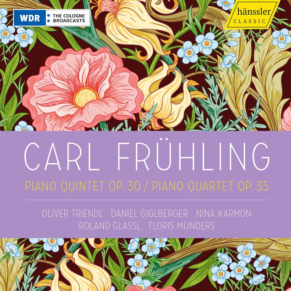 Piano Quartet in D Major, Op. 35: IV. Finale