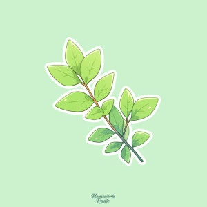 Album Plants oleh Echoboy