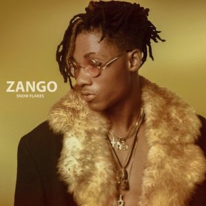 Listen to Zango song with lyrics from Snow Flakes