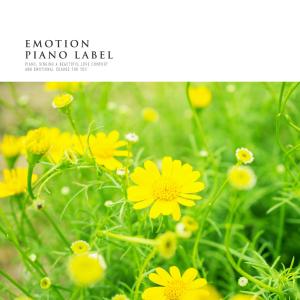 Listen to Like A Clear Petal song with lyrics from Valenpino