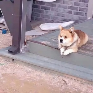 Dengarkan lagu 求佛 (DJ版) nyanyian 唐小力 dengan lirik