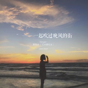 Album 一起吹过晚风的街 (0.9X) oleh 聂思诗（艾米要吃米）