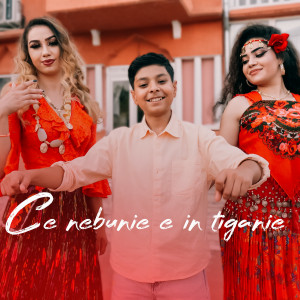 Listen to Ce nebunie e in tiganie song with lyrics from Edy Briliantu