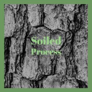 Album Soiled Process from Various