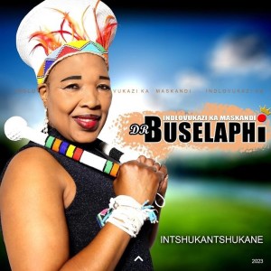 Listen to Ufuni'zinkomo song with lyrics from DR Buselaphi