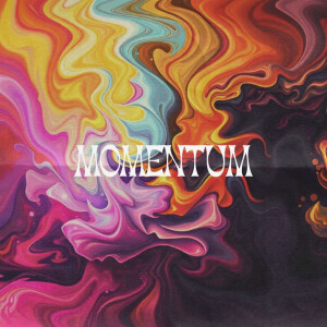 Mr Nobody的專輯momentum