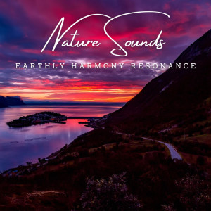 อัลบัม Harmony of the Elements: Meditative Nature Sounds ศิลปิน Bella Element