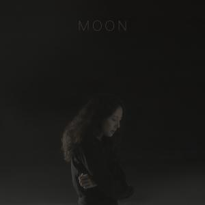 朴志胤的專輯Moon