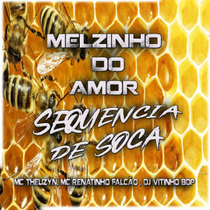 Listen to Melzinho do Amor - Sequencia de Soca (Explicit) song with lyrics from MC Renatinho Falcão
