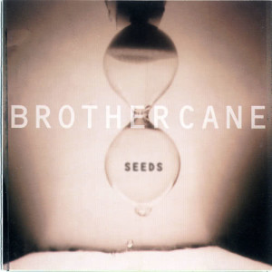 ดาวน์โหลดและฟังเพลง Stain พร้อมเนื้อเพลงจาก Brother Cane