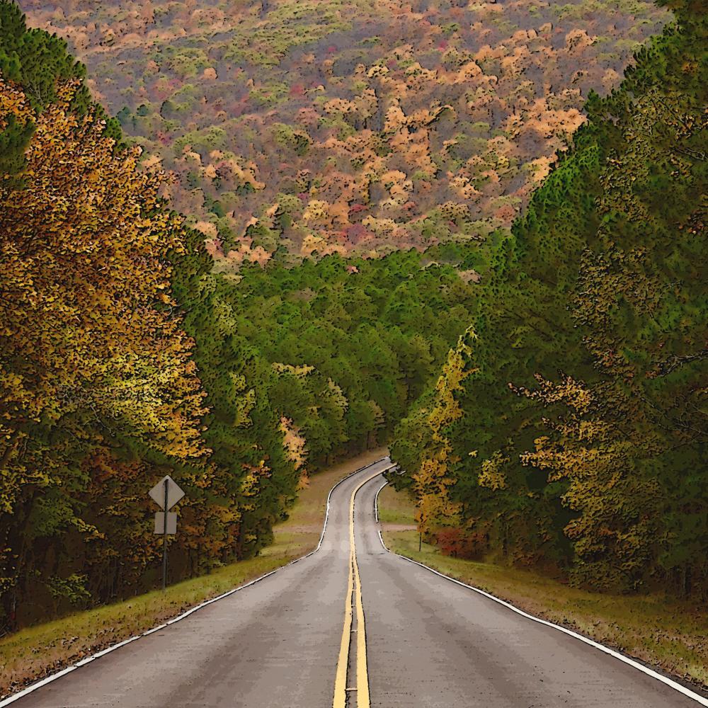 Stay Awhile