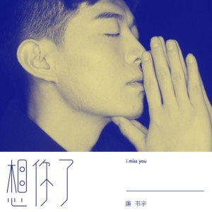 Listen to 想你了 (伴奏) song with lyrics from 廉书宇