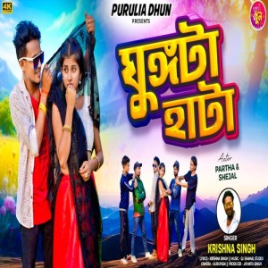 Album Ghungta Hata from Krishna Singh