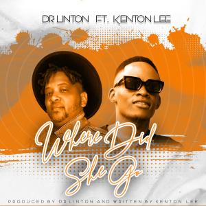 Listen to Where did she go (feat. Kenton Lee) song with lyrics from Dr Linton