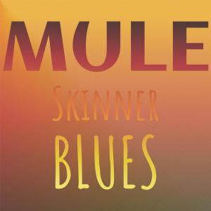 Silvia Natiello-Spiller的专辑Mule Skinner Blues