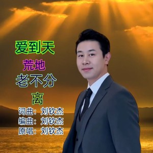 Listen to 爱到天荒地老不分离 (完整版) song with lyrics from 刘钦杰