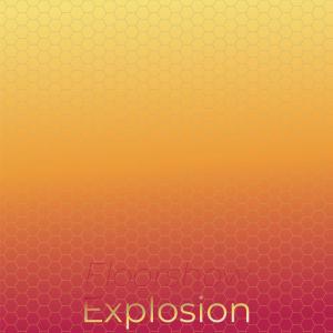 อัลบัม Floorshow Explosion ศิลปิน Various