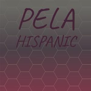 Various Artists的專輯Pela Hispanic