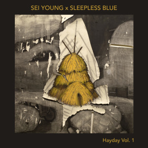 Album Hayday Vol. 1 (Explicit) from Sei Young