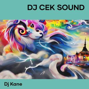 收聽DJ Kane的Dj Cek Sound歌詞歌曲