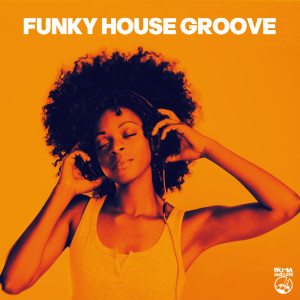 Various Artists的專輯Funky House Groove