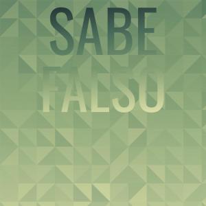 Various的专辑Sabe Falso