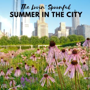 The Lovin' Spoonful的专辑Summer in the City