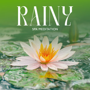 Healing Rain Music Zone的專輯Rainy Spa Meditation (Rain Sounds to Relax, Nature Wellness, Healing Spa Relaxation, ASMR Sleep Rain Sounds)