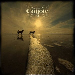 收聽Coyote的Love Handle歌詞歌曲