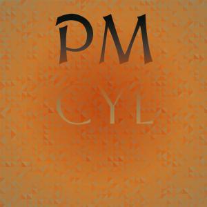 Listen to Pm Cyl song with lyrics from Ernel Stephie