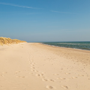 Dengarkan New Life lagu dari Spa Music Relaxation dengan lirik