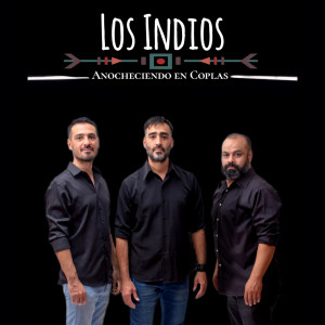 Los Indios的專輯Anocheciendo en Coplas