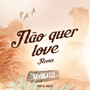 Listen to Não Quer Love (Remix) song with lyrics from ravibeatzz