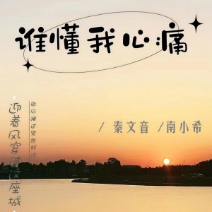 Dengarkan lagu 谁懂我心痛 (伴奏) nyanyian 秦文音 dengan lirik