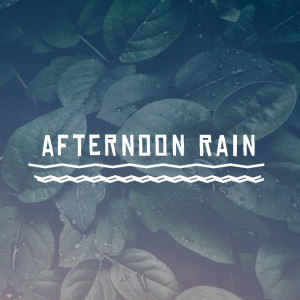 ดาวน์โหลดและฟังเพลง afternoon Rain พร้อมเนื้อเพลงจาก Paul Speer