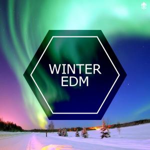 Various Artists的專輯Winter EDM