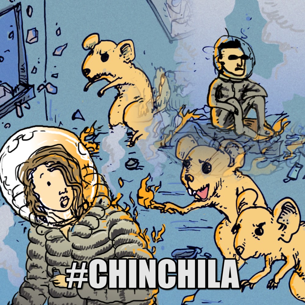 Chinchila