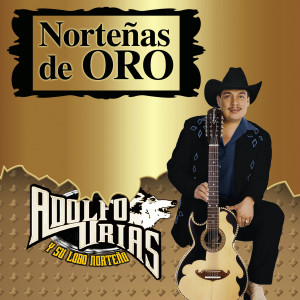 Album Norteñas De Oro from Adikto