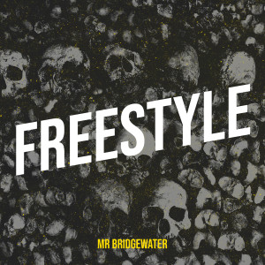 Album FreeStyle (Explicit) from MR BRIDGEWATER